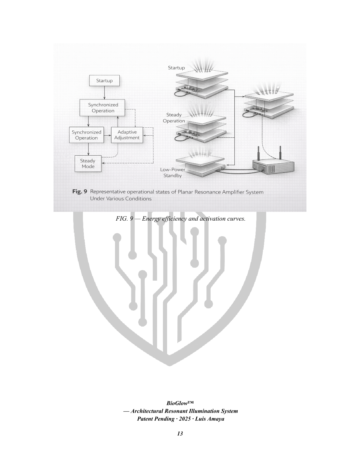 BIOGLOW patent page 12